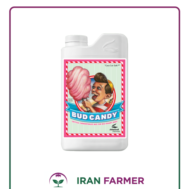 کود ادونس بادی کندی Bud Candy
