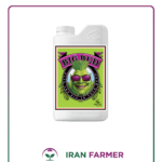 کود ادونس بیگ باد Big Bud