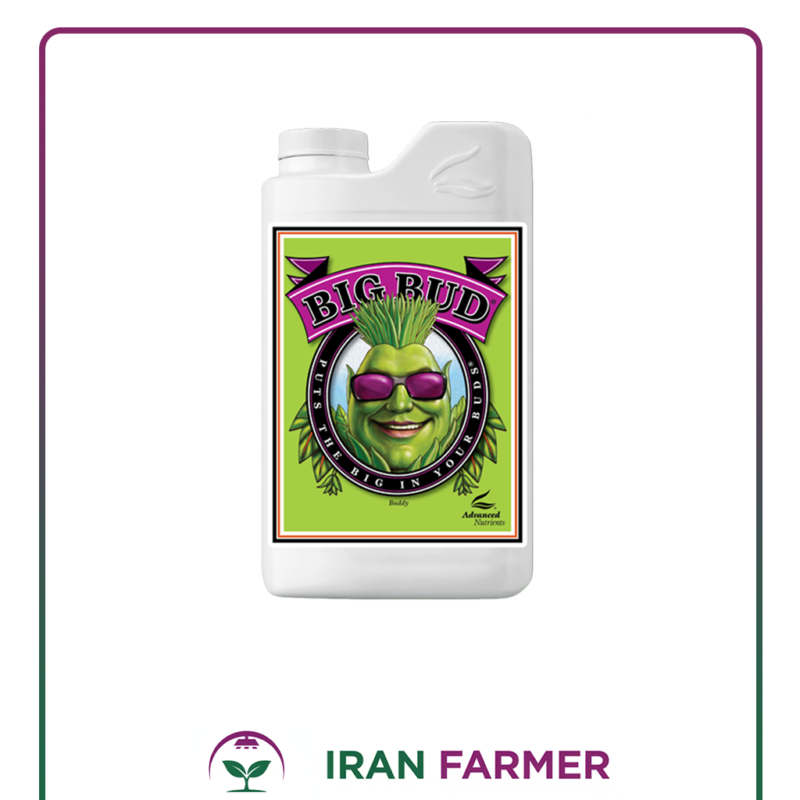 کود ادونس بیگ باد Big Bud