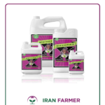 کود ادونس باد فکتور ایکس Bud Factor X