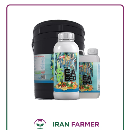 کود جلبک دریایی مایع شوک
