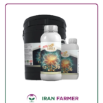 کود گلدهی شوک 36-12-12